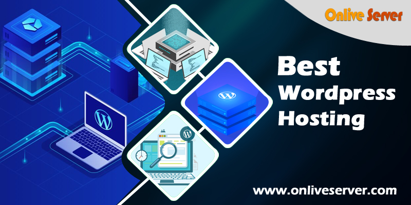 Choose the Best WordPress Hosting for Your Online business