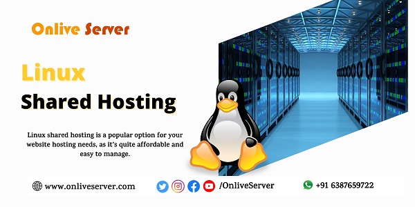 Get Linux Shared Hosting with Effective Plans